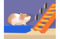Play Hamster Stack Maze now!