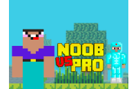Play Noob vs Pro vs Hacker vs God 1 now!